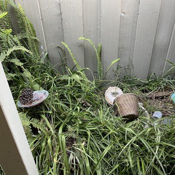 Gonzales Landscaping - Before - Landscaping Near Me - Watsonville, California