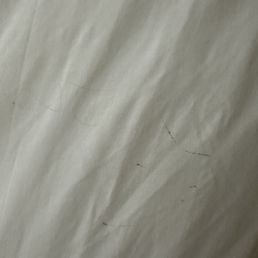 Dirty hair and dirty sheets.  Absolutely disgusting.