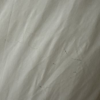 Hampton Inn Holland - Dirty hair and dirty sheets.  Absolutely disgusting. - Hotels Near Me - Holland, Michigan