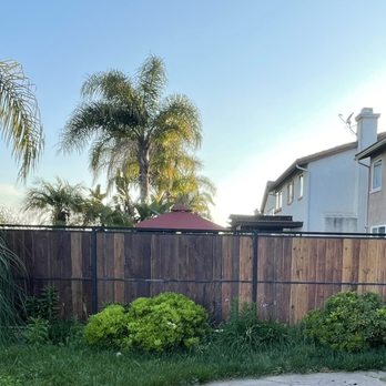 Gone With The Weeds - a back yard with a fence and palm trees - Landscaping Near Me Gone With The Weeds - a back yard with a fence and palm trees - Landscaping Near Me