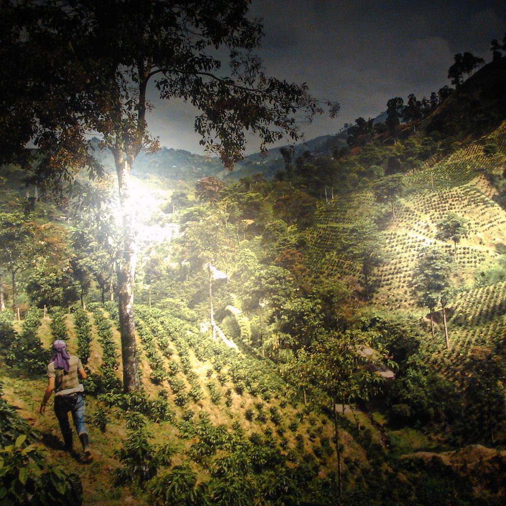 Starbucks - This is probably Colombia ... or Venezuela ... or thereabouts. This is on the mural in the back. - Coffee & Tea Near Me - Happy Valley, Oregon Starbucks - This is probably Colombia ... or Venezuela ... or thereabouts. This is on the mural in the back. - Coffee & Tea Near Me - Happy Valley, Oregon