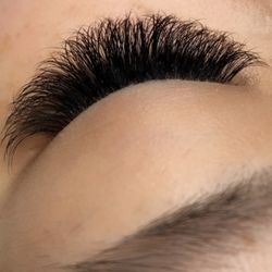 LT Lashes - Volume!