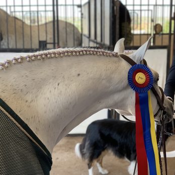 Equine Pavilion - Even the medium pony gets a double stall when horse showing #resultsdontlie - Horseback Riding Near Me - Heber City, Utah Equine Pavilion - Even the medium pony gets a double stall when horse showing #resultsdontlie - Horseback Riding Near Me - Heber City, Utah