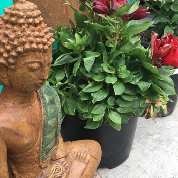 Shore Gardens Nursery - Nurseries & Gardening Near Me - San Clemente, California Shore Gardens Nursery - Nurseries & Gardening Near Me - San Clemente, California