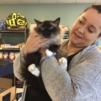 Food 4 Paws - Pet Stores Near Me - Cedar Rapids, Iowa Food 4 Paws - Pet Stores Near Me - Cedar Rapids, Iowa