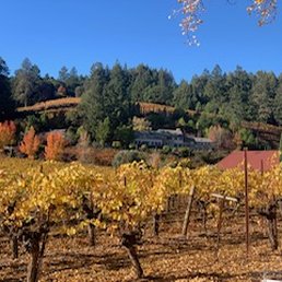 The Vineyards and winery