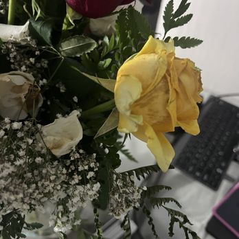 Flowers Galore - Dead roses - Florists Near Me - Fort Lauderdale, Florida Flowers Galore - Dead roses - Florists Near Me - Fort Lauderdale, Florida
