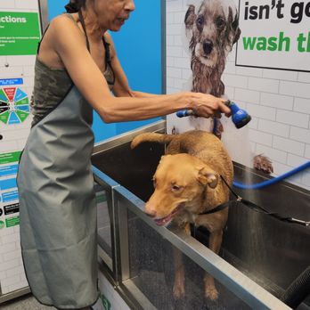 Pet Supplies Plus Las Vegas - Rainbow Blvd - Pet Groomers Near Me - Las Vegas, Nevada