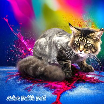 Luke's Bubble Bath - Pet Groomers Near Me - Dundee, New York Luke's Bubble Bath - Pet Groomers Near Me - Dundee, New York