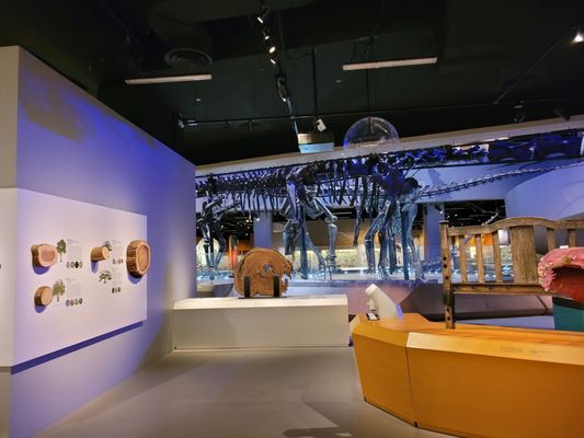 Lee Kong Chian Natural History Museum, Singapore by null