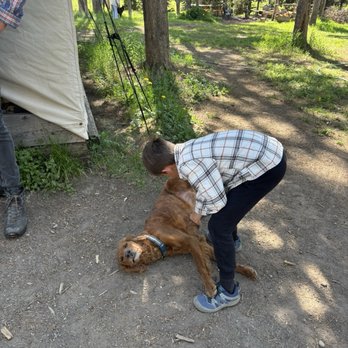 Wilderness Trails Inc. - So many amazing doggies! - Tours Near Me Wilderness Trails Inc. - So many amazing doggies! - Tours Near Me