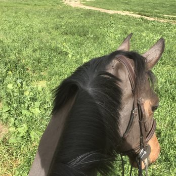 Legacy Farm - Trail rides - Horseback Riding Near Me - Brentwood, California