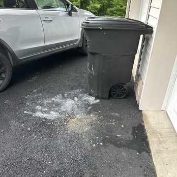 Karen Pobo Cleaning Services - Mess left outside by the garbage can due to apparently the bag ripping. left it like this. they never let me know - Home Cleaning Near Me - Wanaque, New Jersey