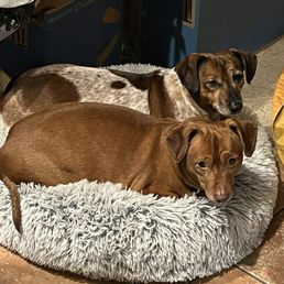 Kitchen snuggle Kitchen snuggle