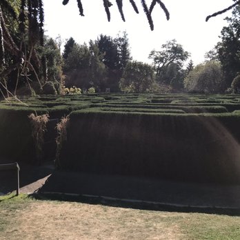 VanDusen Botanical Garden - The maze - Botanical Gardens Near Me - Vancouver, British Columbia VanDusen Botanical Garden - The maze - Botanical Gardens Near Me - Vancouver, British Columbia
