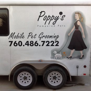 Poppy's Pampered Pets - Pet Groomers Near Me Poppy's Pampered Pets - Pet Groomers Near Me