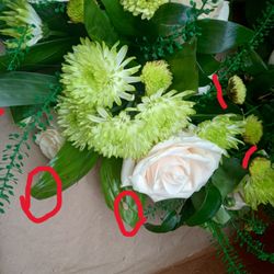 Mary Woods Florist - Blemished Greens with tips cut and blackened flower bases.