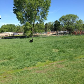 Point Dog Park - Dog Parks Near Me - Stevens Point, Wisconsin Point Dog Park - Dog Parks Near Me - Stevens Point, Wisconsin