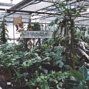 Alpine Nursery & Landscape - Nurseries & Gardening Near Me - Puyallup, Washington