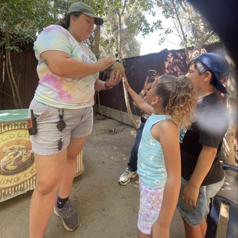 Wildlife Learning Center - Private viewing - Zoos Near Me - Sylmar, California