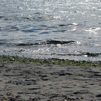 Marina Beach Park - Parks Near Me - Edmonds, Washington Marina Beach Park - Parks Near Me - Edmonds, Washington
