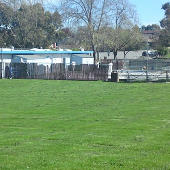 San Bruno City Park - Pool - being emptied and cleaned while the picture was taken - Parks Near Me - San Bruno, California San Bruno City Park - Pool - being emptied and cleaned while the picture was taken - Parks Near Me - San Bruno, California