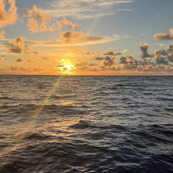 Ke Kai Catamaran - Perfect sunset. - Snorkeling Near Me - Honolulu, Hawaii