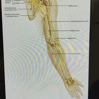 Royal Oak Chiropractic Clinic - Chiropractors Near Me - Berkley, Michigan
