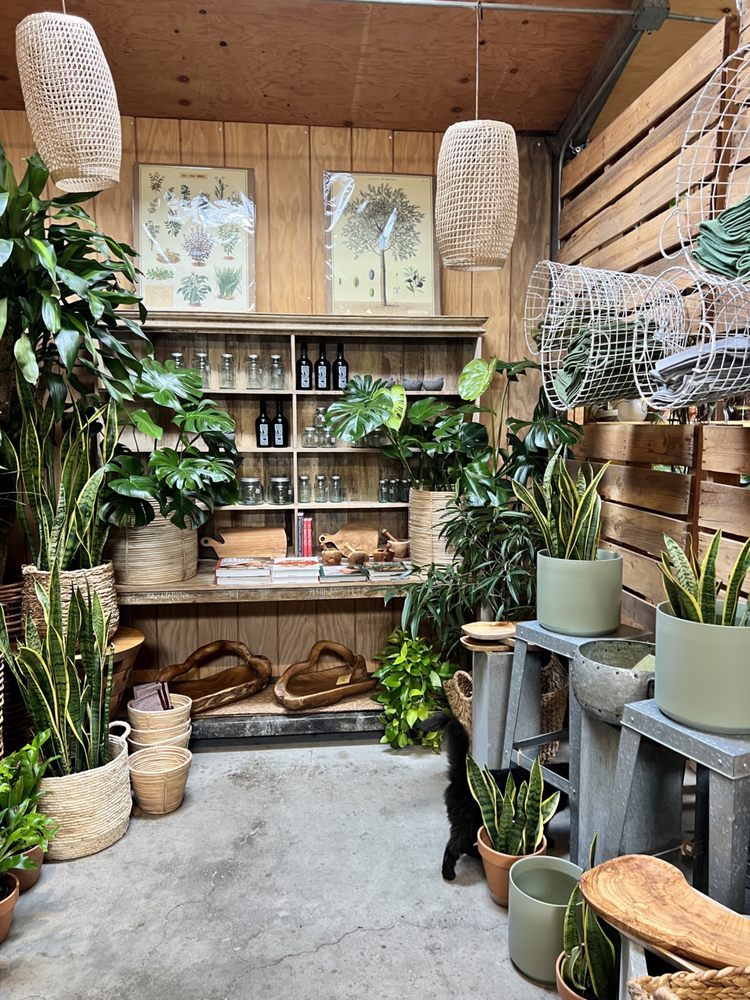 CLOVERDALE NURSERY Updated October 2024 80 Photos & 24 Reviews