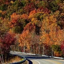 Lili’s Shuttle Service - Route 64 to Asheville in October 2023