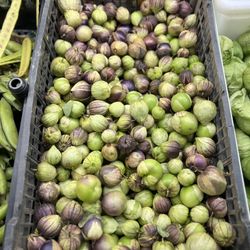 Campos Market - If you're not making salsa with these guys, you're missing out