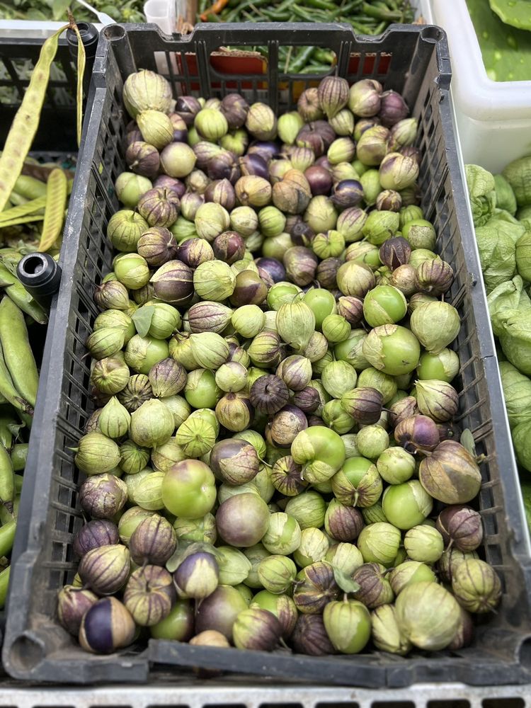 Campos Market