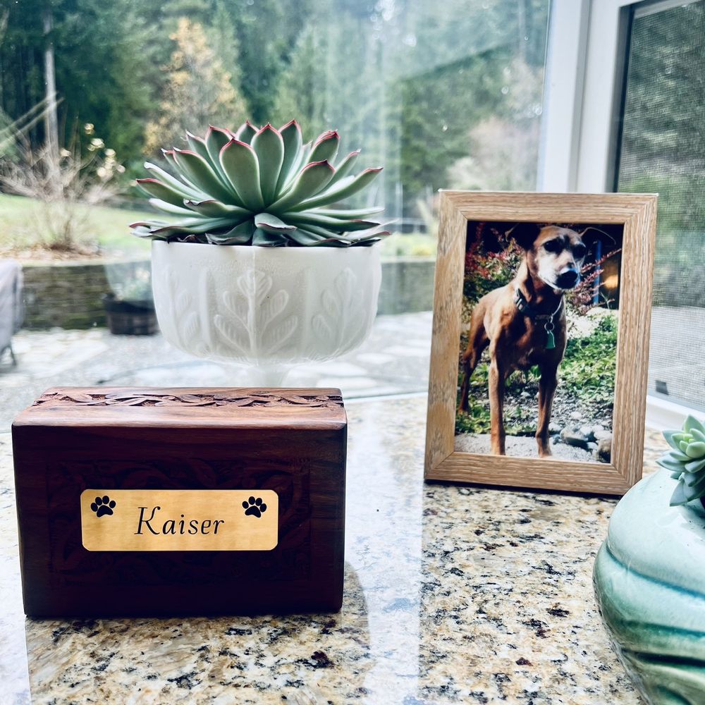 Over the Rainbow Bridge Pet Crematory - Our Kaiser - Pet Sitting Near Me