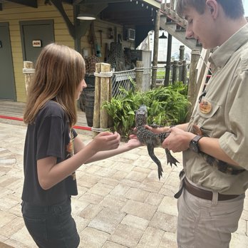 Congo River Golf - Loved meeting Jimmy The gator - Mini Golf Near Me - Clearwater, Florida