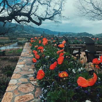 Davis Estates - Wineries Near Me - Calistoga, California