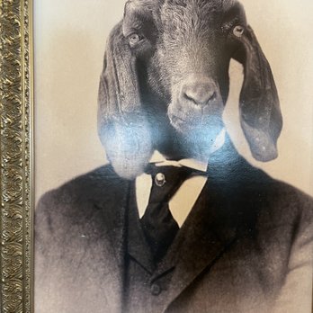 Rodeo Goat - Burgers Near Me - Houston, Texas