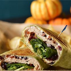 Levity Brewing - Grilled wrap with spinach, turkey, bacon and more