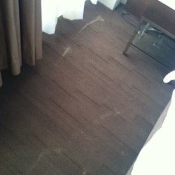 Hotel Le Bleu - Stains on Carpet on left side of bed - Hotels Near Me - Brooklyn, New York