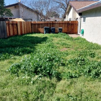 Bay Bloom - Before. - Lawn Services Near Me