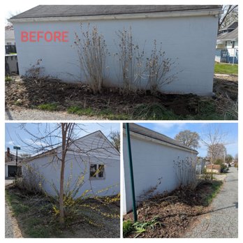 Your Favorite Landscaper - Before photo of the overgrowth - Snow Removal Near Me Your Favorite Landscaper - Before photo of the overgrowth - Snow Removal Near Me