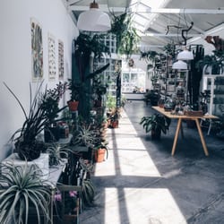 FLO Atelier Botânico - Incredible selection of succulents and terrariums.