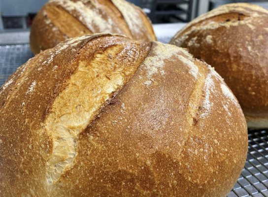 Mother Dough Bakery by null