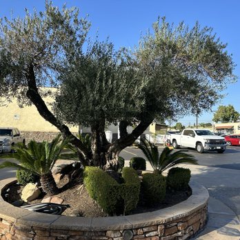 Mr. V's Bar and Grill - Outside front entrance - American Near Me - La Mirada, California Mr. V's Bar and Grill - Outside front entrance - American Near Me - La Mirada, California