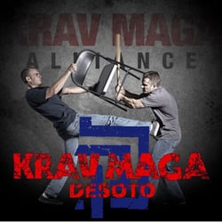 Krav Maga Desoto
