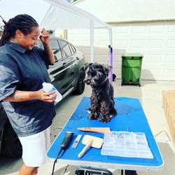 Kay’s Mobile Grooming