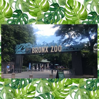 Bronx Zoo - Zoos Near Me - Bronx, New York