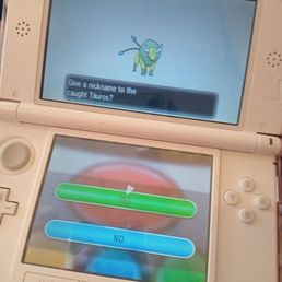 Shiny tauros Shiny tauros