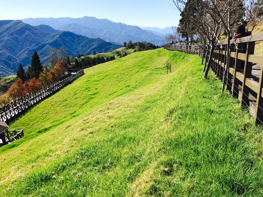 Qingjing Farm by null