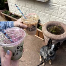 Matcha Matcha
