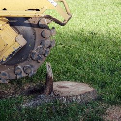 ABC Tree Services
